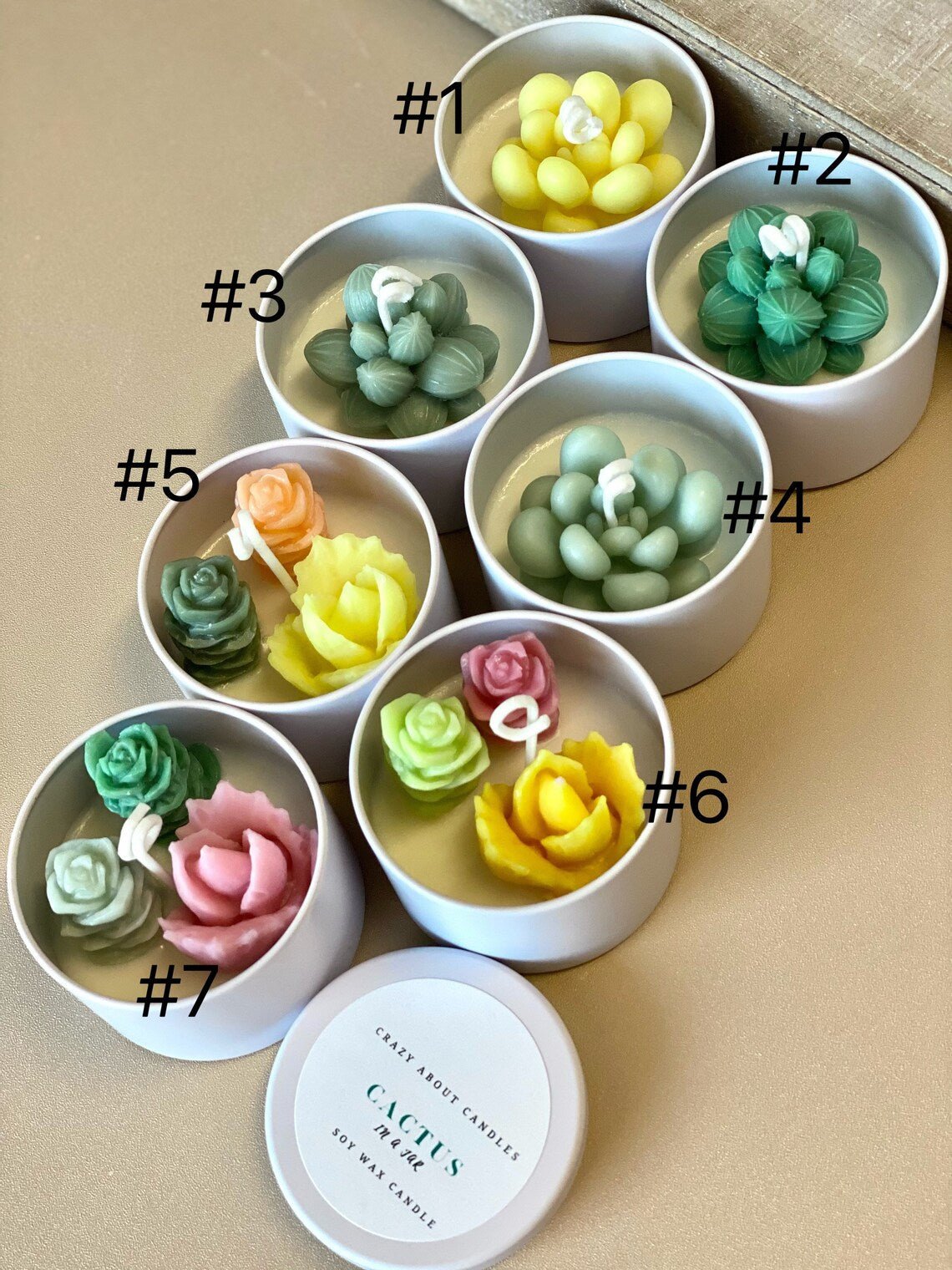 Cactus Jar Scented Candle, Handmade Succulent Decor Candle Gift