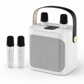 Portable Karaoke Speaker Wireless Microphones LED Display