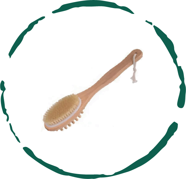 Long Handle Bath and Body Brush